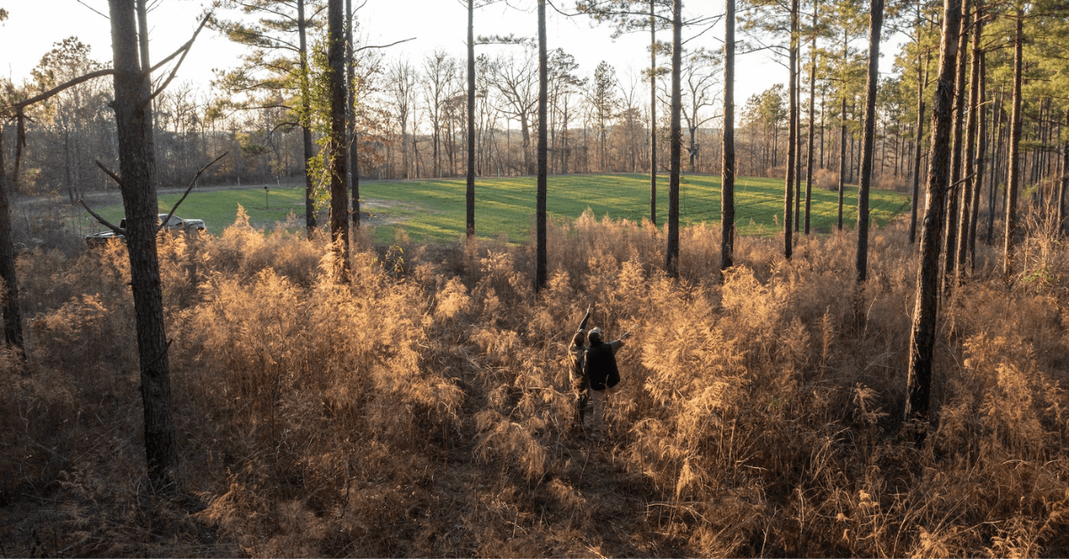 Featured Image for Keeping Land in the Family with a Land Trust
